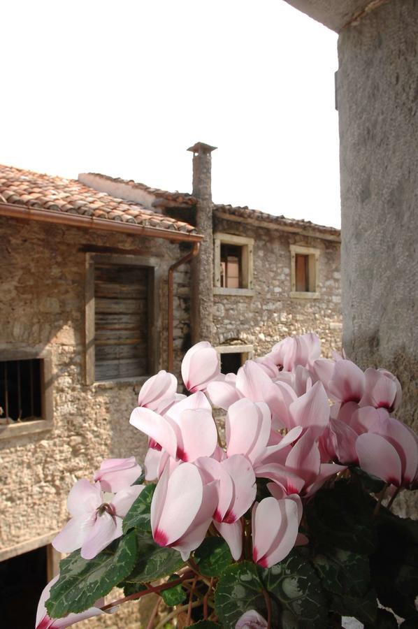 Albergo Diffuso Valcellina E Val Vajont In Erto מראה חיצוני תמונה